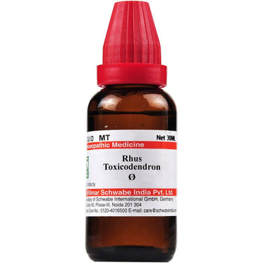 https://cdn.shopify.com/s/files/1/1857/6931/products/EIUx39XhaU.jpg?v=1637574627